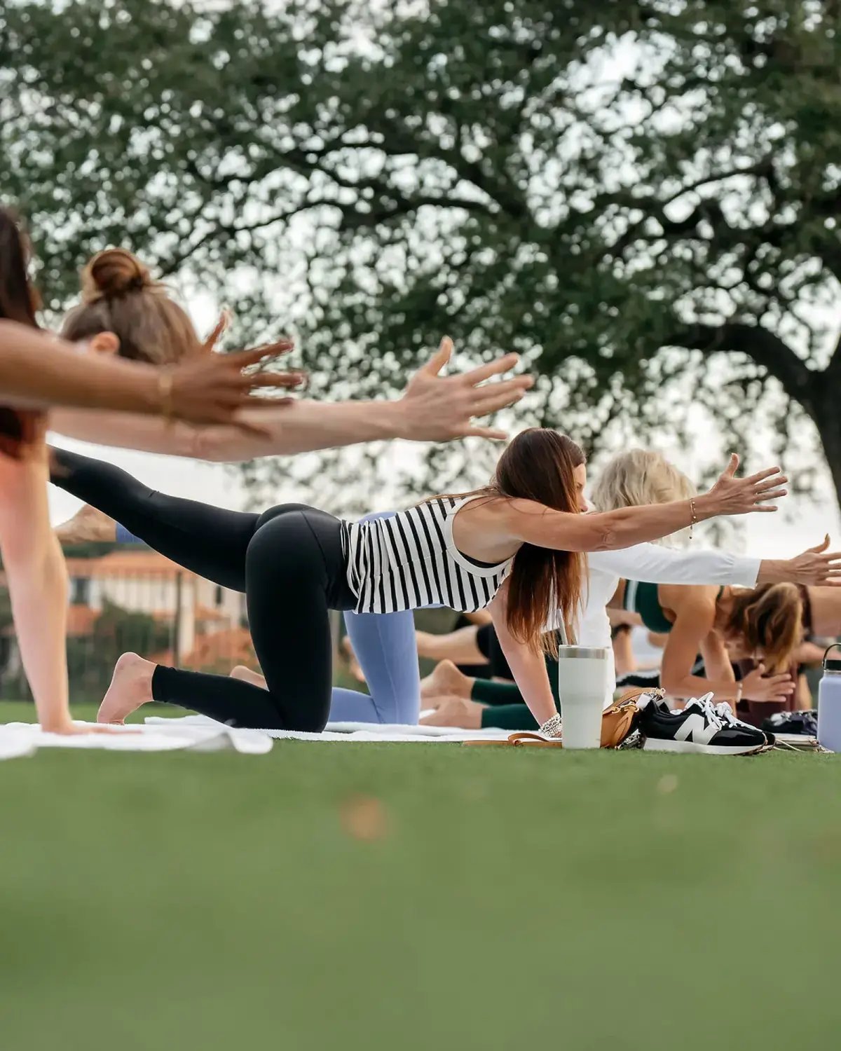 Conference attendees participating in an outdoor group yoga session